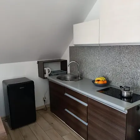 Apartamenty Akacjowa Villa106 Nedza Номер фото