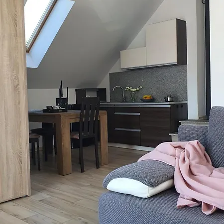 Apartamenty Akacjowa Villa106 Nedza Номер фото